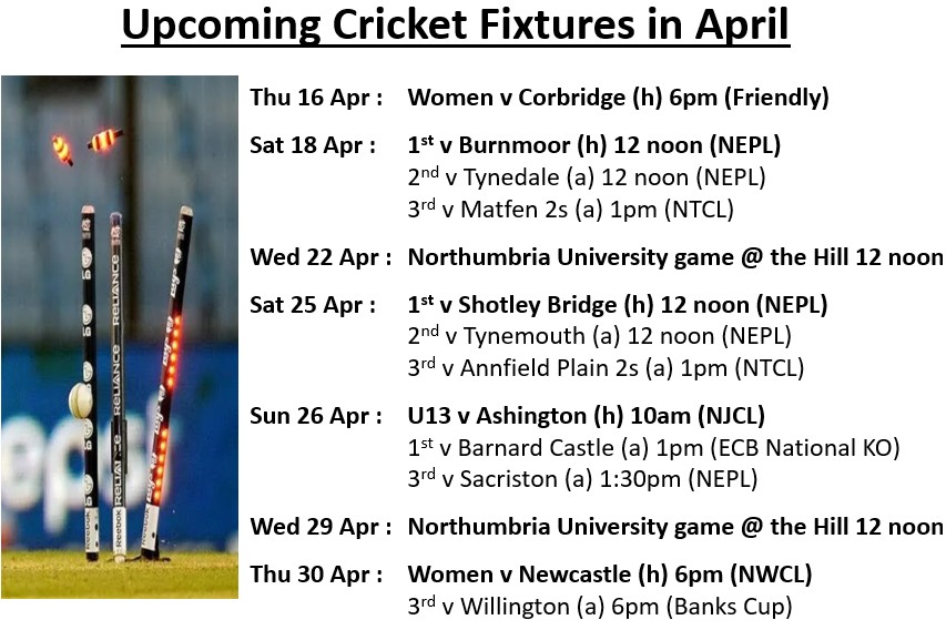 Cricket April 2026.jpg