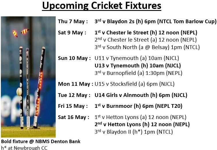 Cricket 7-16 May.jpg